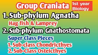 Group Craniata Or Vertebrata Complete lecture BIOLOGY LECTURES [upl. by Luana]