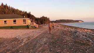 Anticosti Island Sepaq Anticosti Ste Marie 2 Cabin [upl. by Shaum248]