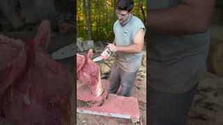 Chainsaw carved horse art stihl chainsaw carving fyp shorts reels woodworking cedar treeo [upl. by Cassy303]