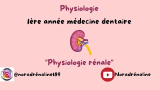 physiologie rénalephysiologie dentaireشرح بالدارجة [upl. by Sidoeht285]