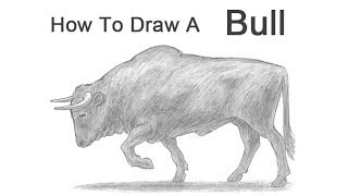 How to Draw a Bull [upl. by Renard]