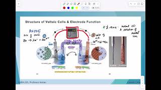 Voltaic Cells and Cell Potential [upl. by Shepley195]