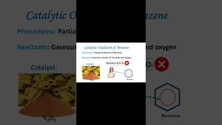 Catalytic Oxidation of Benzene [upl. by Laise]