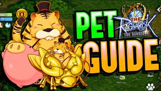 The Ragnarok  Pet Guide [upl. by Ttcos610]