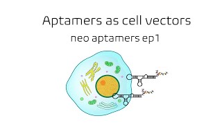 Aptamers as cell vectors [upl. by Yaya]