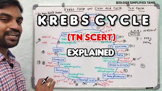 Krebs cycle in tamil  TNSCERT  Senthilnathan [upl. by Gwendolen]