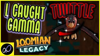 I CAUGHT GAMMA TWITTLE  Loomian Legacy  ROBLOX [upl. by Llewxam]