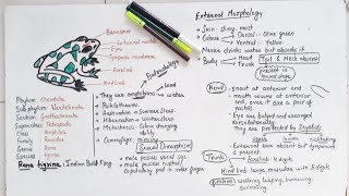 Morphology Of Frog Class 11 [upl. by Jeroma]