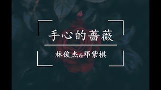 手心的薔薇 Lyrics  by JJ Lin 林俊傑 amp GEM 鄧紫棋 [upl. by Sorel306]