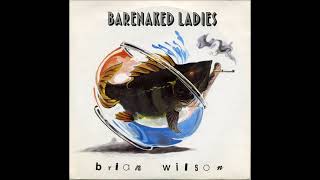 Barenaked Ladies  Brian Wilson [upl. by Aihsenod508]