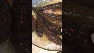 Wild River Fish Benjie Gonzales tv [upl. by Sheelah]