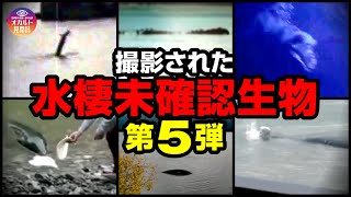 【映像】撮影された水棲未確認生物 第5弾 [upl. by Pigeon672]