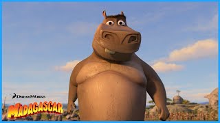 I Think Moto Moto Likes You  DreamWorks Madagascar  Extended Preview [upl. by Nolahc]