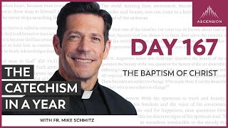 Day 167 The Baptism of Christ — The Catechism in a Year with Fr Mike Schmitz [upl. by Dace20]