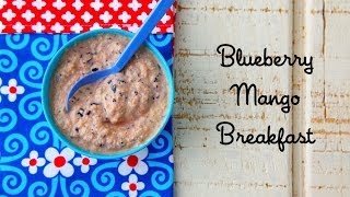 Recipes for Babies How to Make Blueberry Mango and Protein Puree for Toddlers  Weelicious [upl. by Brookes613]