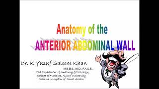 Anatomy  ANTERIOR ABDOMINAL WALL  Part 1  Dr Yusuf [upl. by Poll]