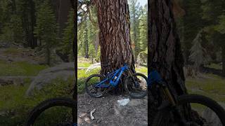 Armstrong Connector trail South Lake Tahoe mtb turbolevo mountainbike [upl. by Nysila]