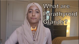 What are Parathyroid Glands [upl. by Ekud]