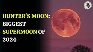 Hunters Moon Biggest Supermoon of 2024  WION Podcast [upl. by Schell193]