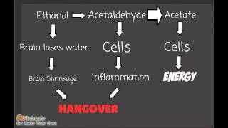 HangZen antihangover shot [upl. by Akinehc]