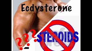 Beta Ecdysterone  the natural alternative to steroids [upl. by Notpmah270]