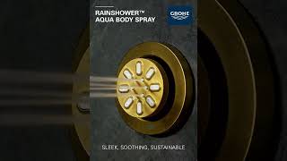 GROHE RAINSHOWER™ AQUA Body Spray [upl. by Epolenep728]