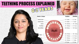 BABY TEETHING PROCESS EXPLAINED  02 YEARS [upl. by Salene324]