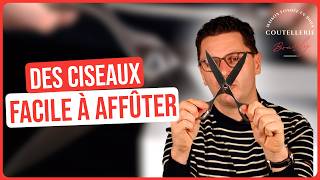 Ces ciseaux sont très performants et faciles à aiguiser  Ciseaux Horl [upl. by Pauly]