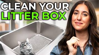 How To Keep Your Cats Litter Box Clean Tips amp Tools [upl. by Cirenoj]