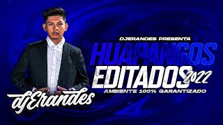 HUAPANGOS EDITADOS 2022 DEMO  DJ Erandes [upl. by Nihi]