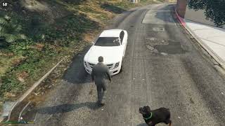 Grand Theft Auto V Singleplayer  SteamDeck  Docked  20240331 1414 Gameplay [upl. by Jardena685]