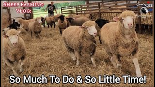 Hurricane Beryl Is Coming  Getting Hay Stored  Moving Sheep FarmingLife2024 [upl. by Aamsa]