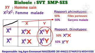 Texte modèle Biologie SVTSMPSES Daltonisme 2024 [upl. by Sanders]