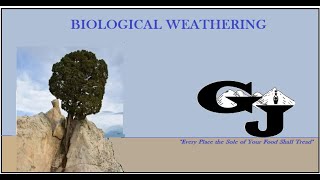 CSEC Geography Biological weathering [upl. by Laurel314]