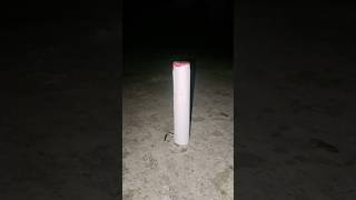 Homemade rocket Sky shot testing shorts diwali viralvideo [upl. by Akinod658]