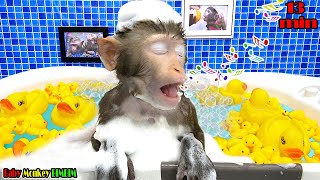 Monkey Baby Bim Bim Goes Swims with Friend amp Rubber Duck in the bathroom  more [upl. by Nonnahsal525]