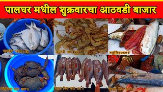 पालघर मधील शुक्रवारचा आठवडी बाजार  Amazing Fish Markets In Palghar [upl. by Aztiram]