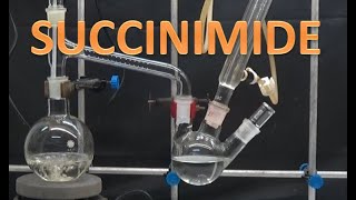 HOW MAKE SUCCINIMIDEncchem [upl. by Youlton721]