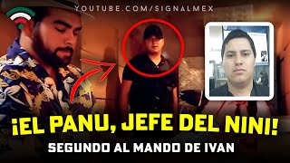 ¡EL PANU SEGUNDO AL MANDO DE IVAN Jefe De quotEl Niniquot [upl. by Einwahs]