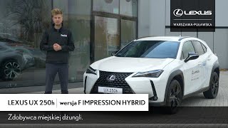 Lexus UX 250h FWD w wersji F Impression [upl. by Aimehs]