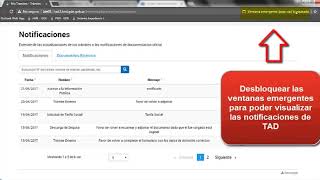 Trámites a Distancia  Notificaciones [upl. by Luhar7]