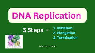 DNA ReplicationInitiationElongationTerminationProkaryotesEukaryotesSemiconservativeTelomerase [upl. by Lisandra511]