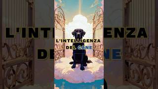 LIntelligenza Del Cane 🐕 motivazione lezionedivita saggezza [upl. by Burroughs]