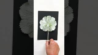 Alchemilla Mollis Monoprint on Black botanicalprint art [upl. by Ovid]