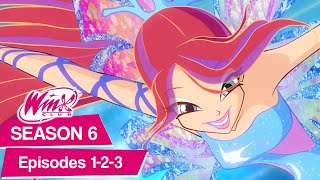 Winx Club  Season 6 Episodes 123 FULL ÉPISODES [upl. by Nahgeem579]