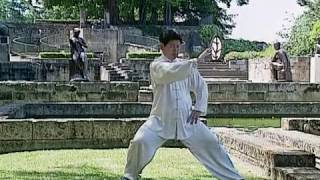 Tai Chi Lessons with Master Jian Liujun [upl. by Lehcem603]