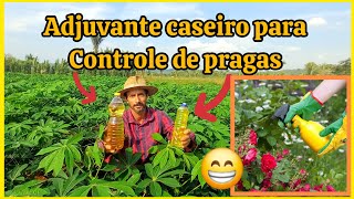 💡🍀Adjuvante caseiro para controle de pragas na horta pulgões mosca branca cochonilha etc [upl. by Sheena]