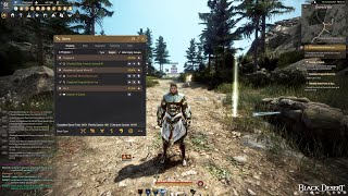 Black Desert Online  30K Quests Completion [upl. by Yanehs415]