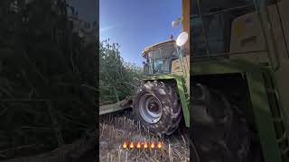 🔥 Powerful Forage Harvester in Action 🚜🌾 [upl. by Ellehcirt]