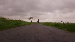 Relaxing Sounds of Light Rain and Soothing Wind Blowing Through Vegetation on an Abandoned Road  4K [upl. by Ahsenav]